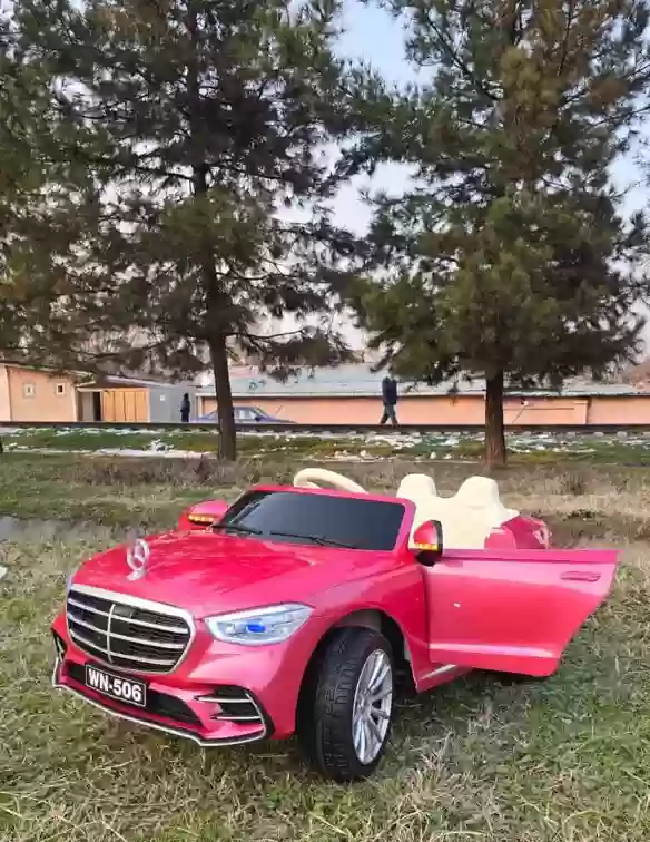 мошинча