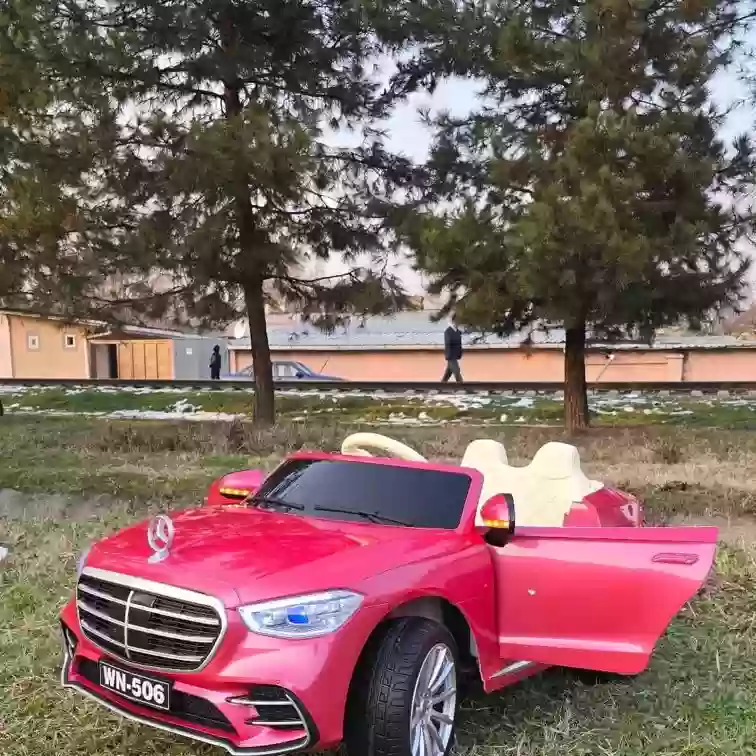 мошинча