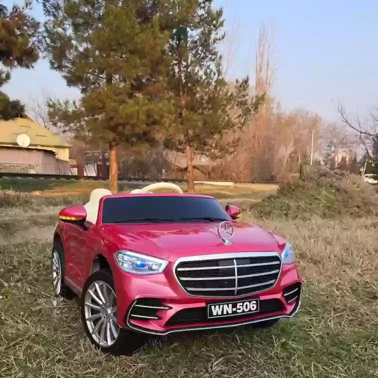 мошинча
