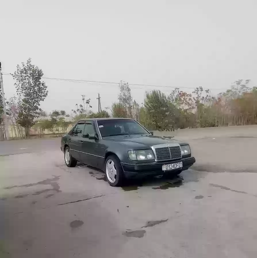 Mercedes-benz E class 1993