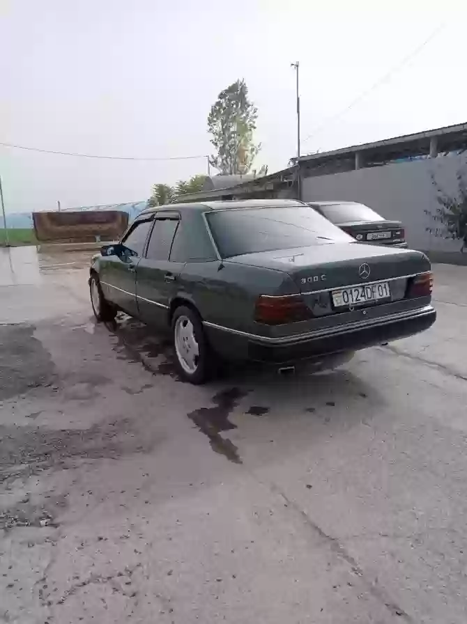Mercedes-benz E class 1993