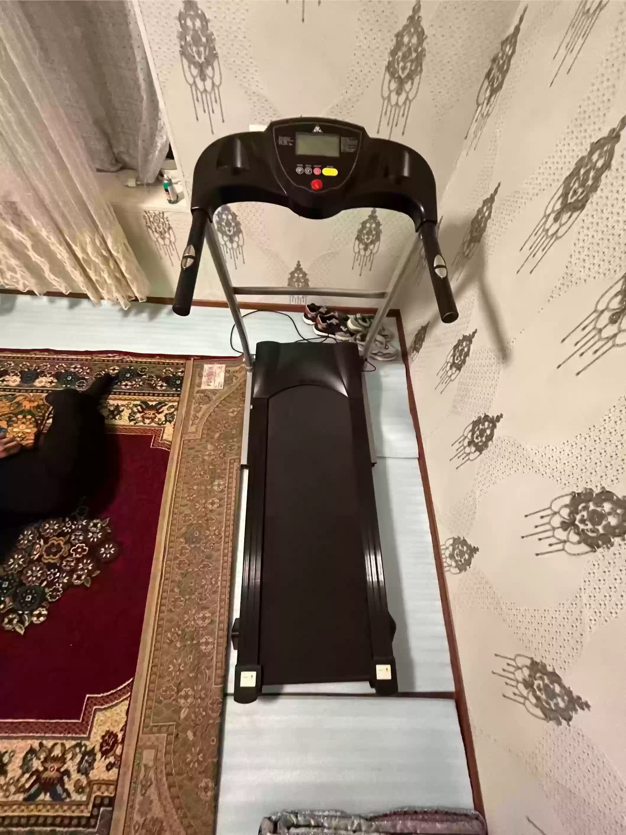 Беговая дорожка