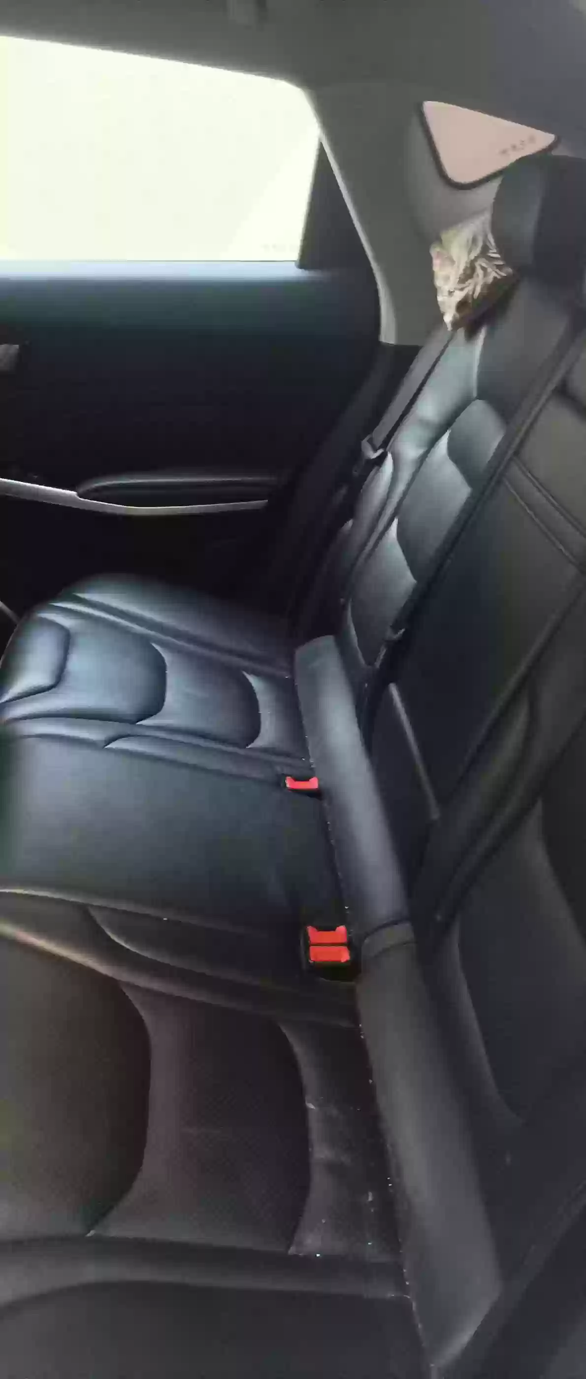 Hongqi