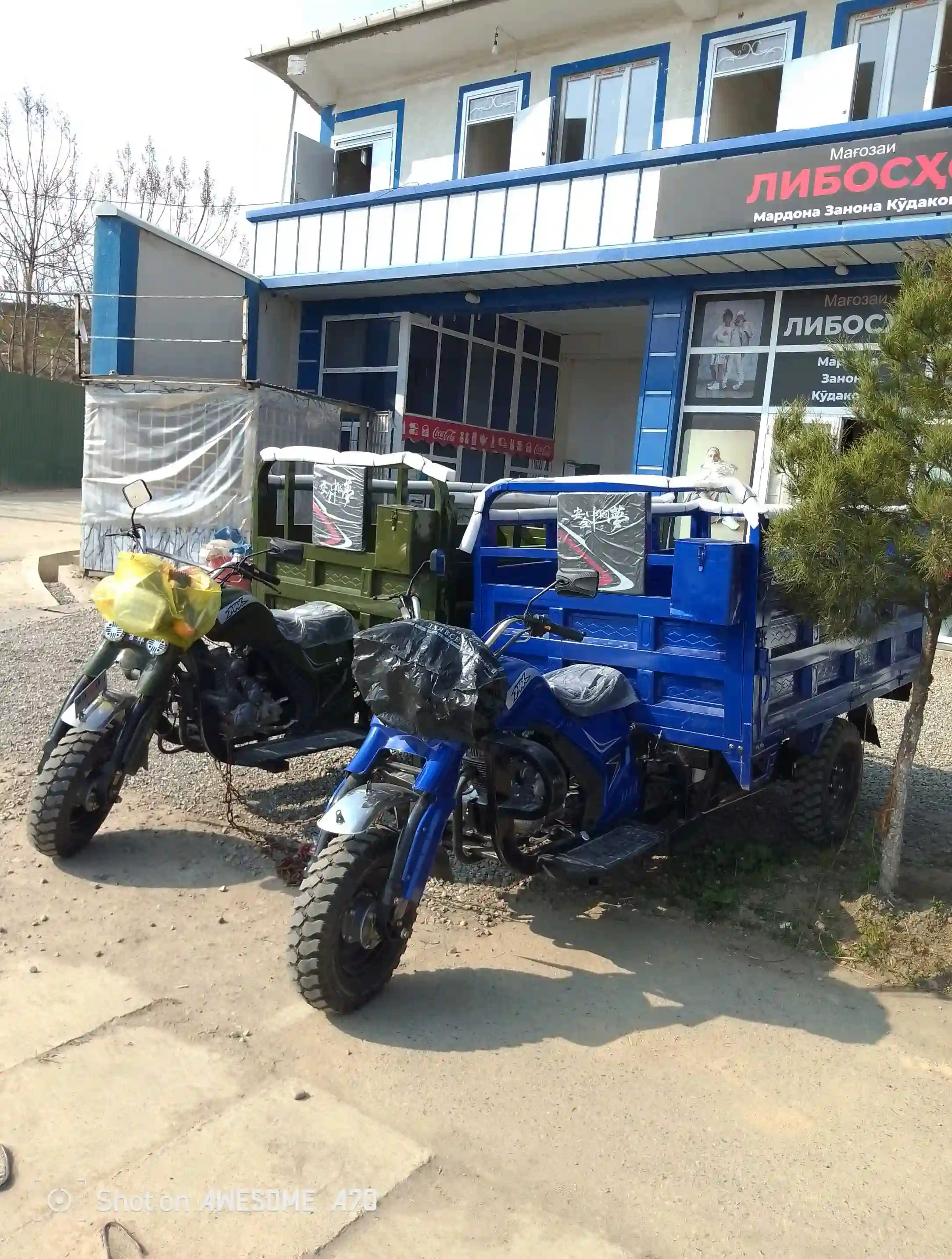 моторол 