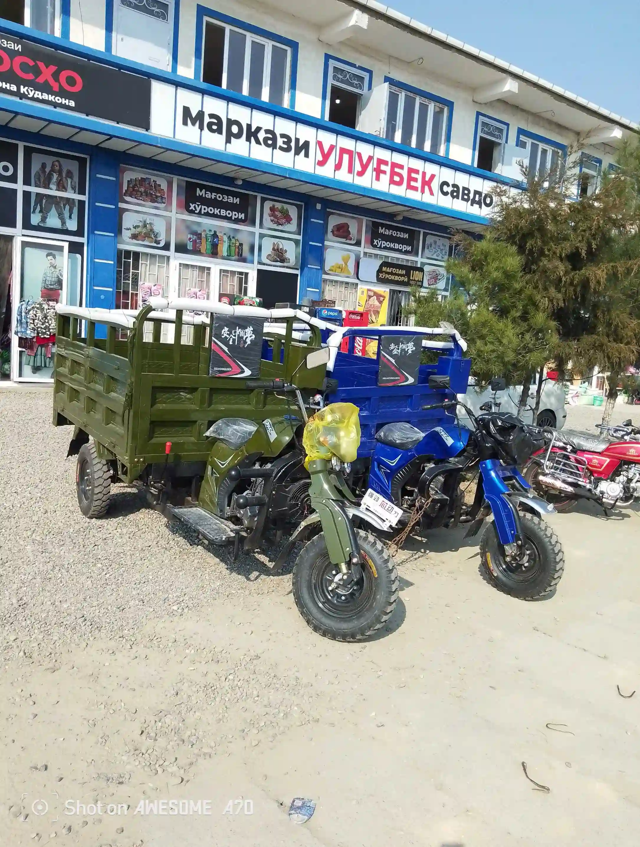 моторол 
