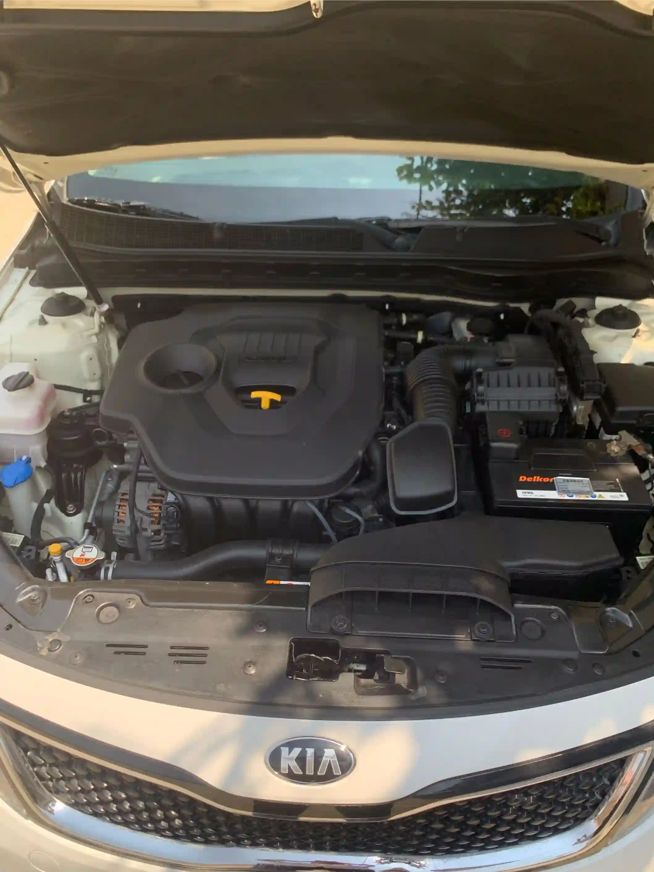 Kia K series 2015