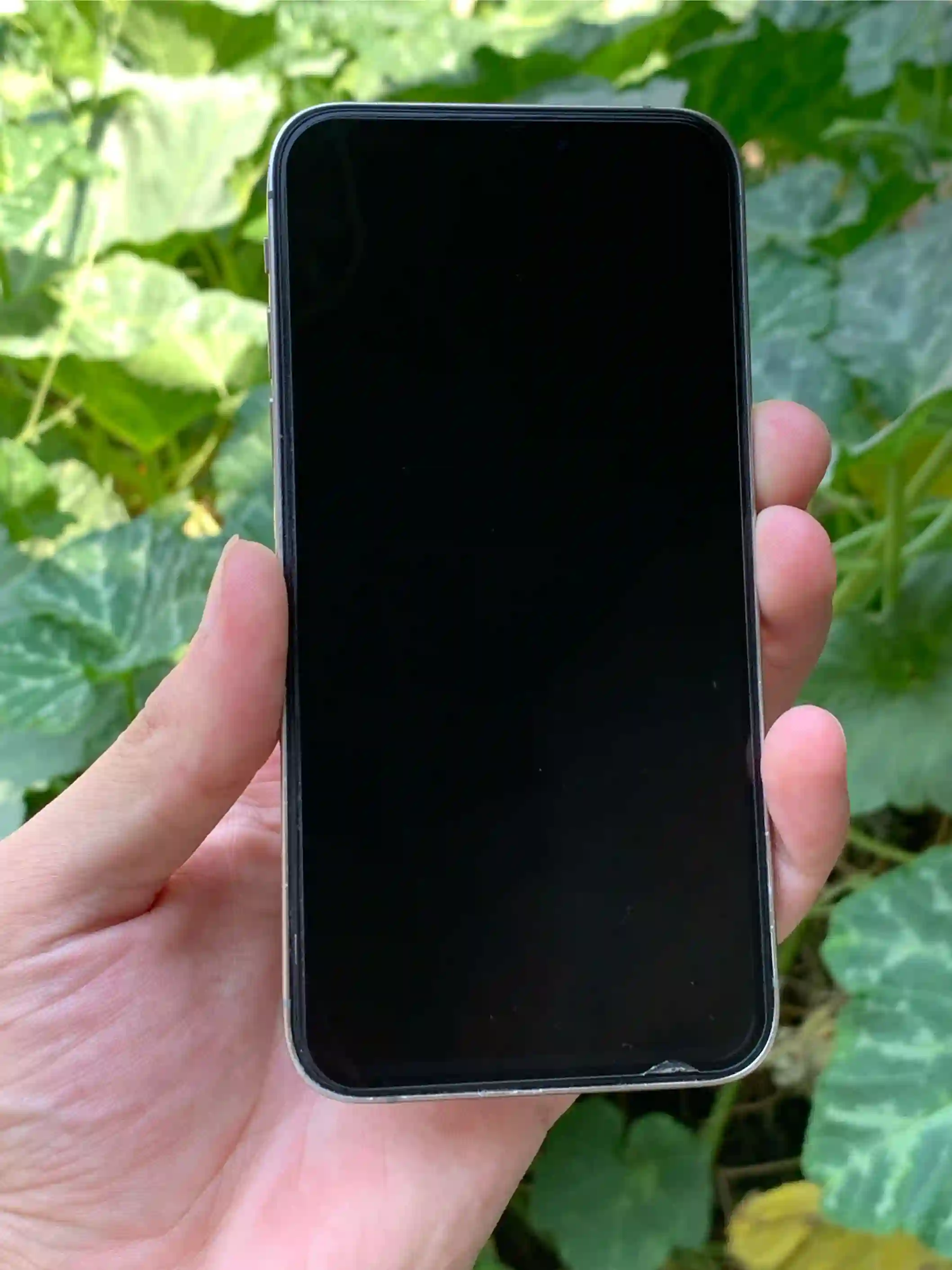 IPhone X 15 Pro titanium