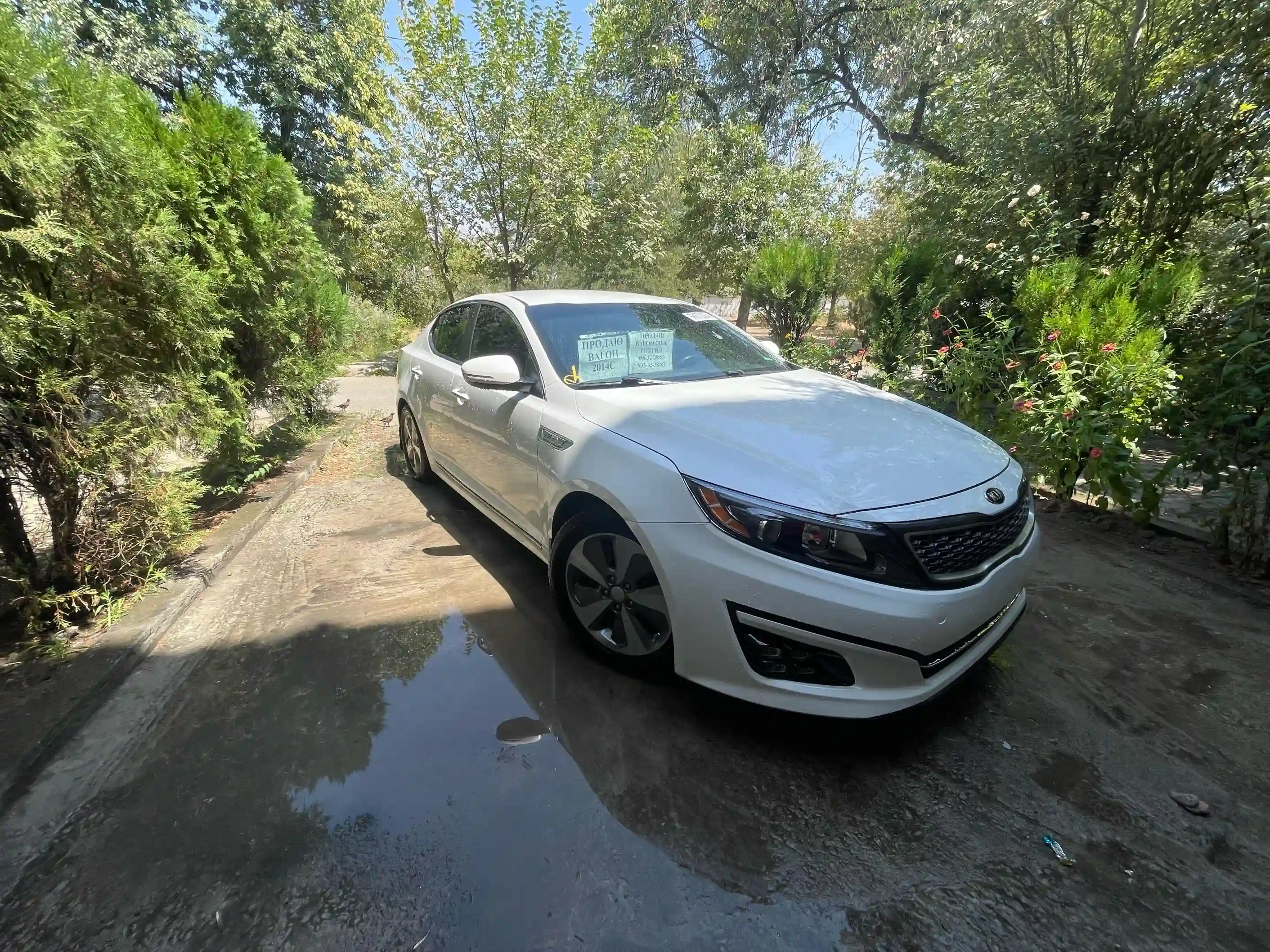 Kia Optima 2014