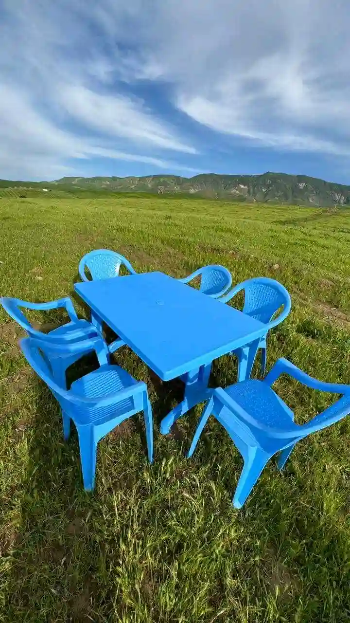 Столы и стулья 