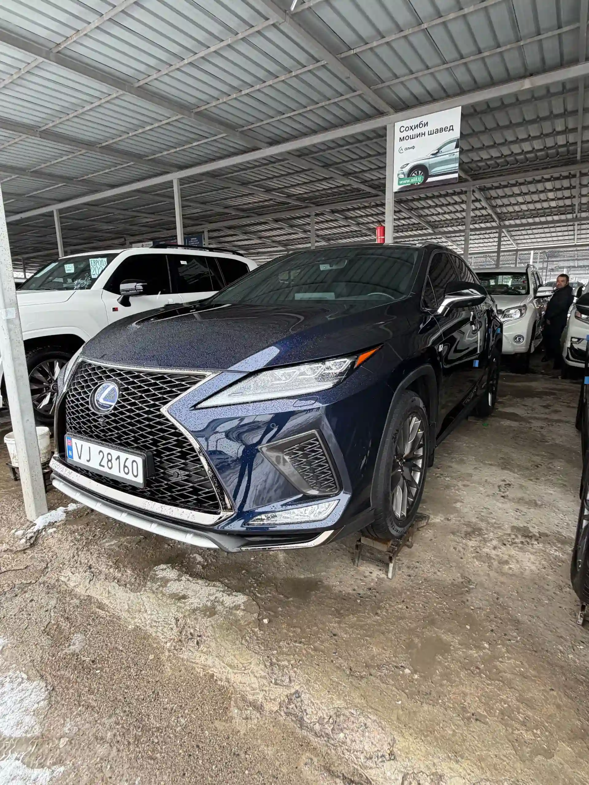 Lexus Rx series 2022