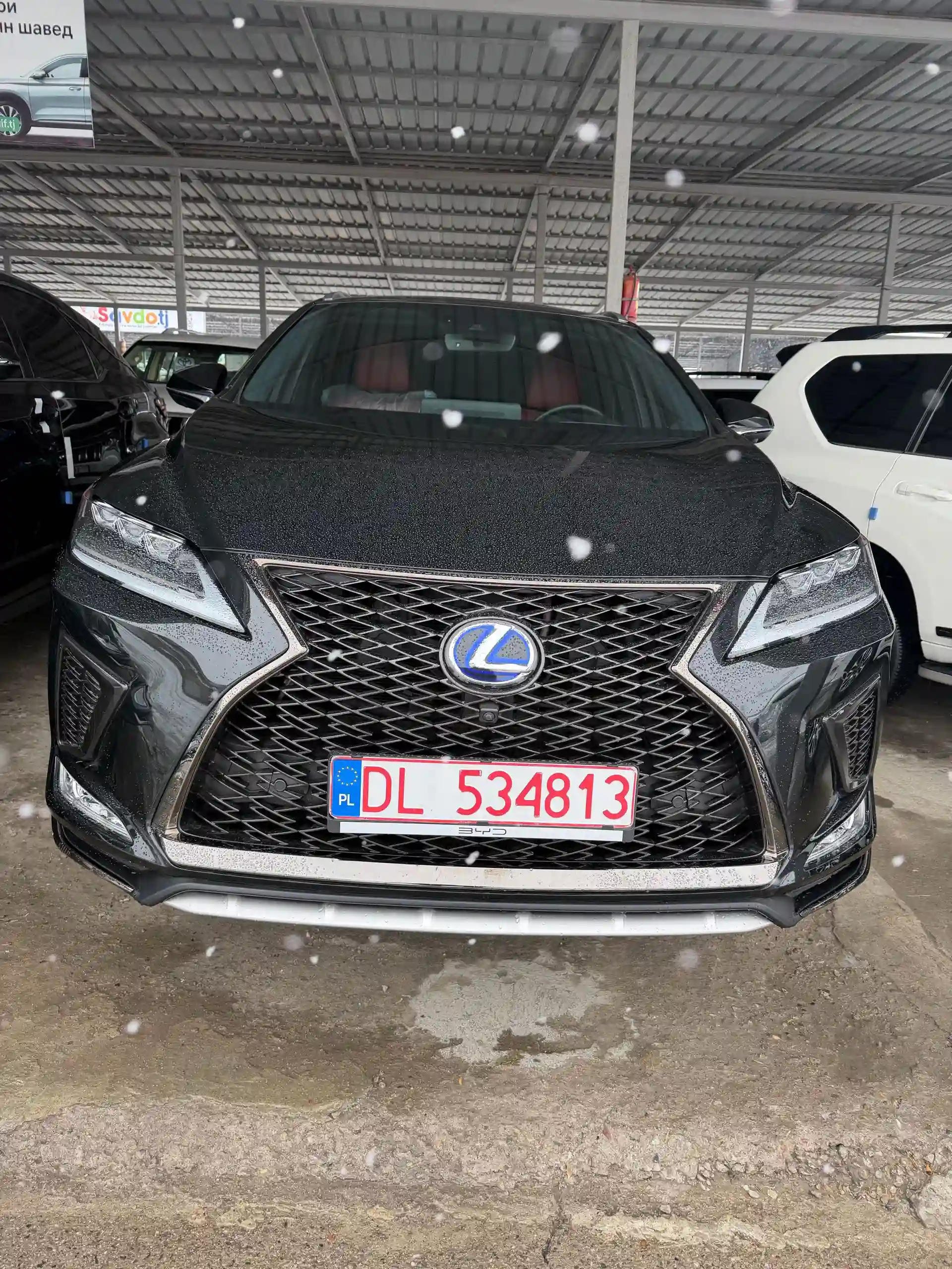 Lexus Rx series 2022