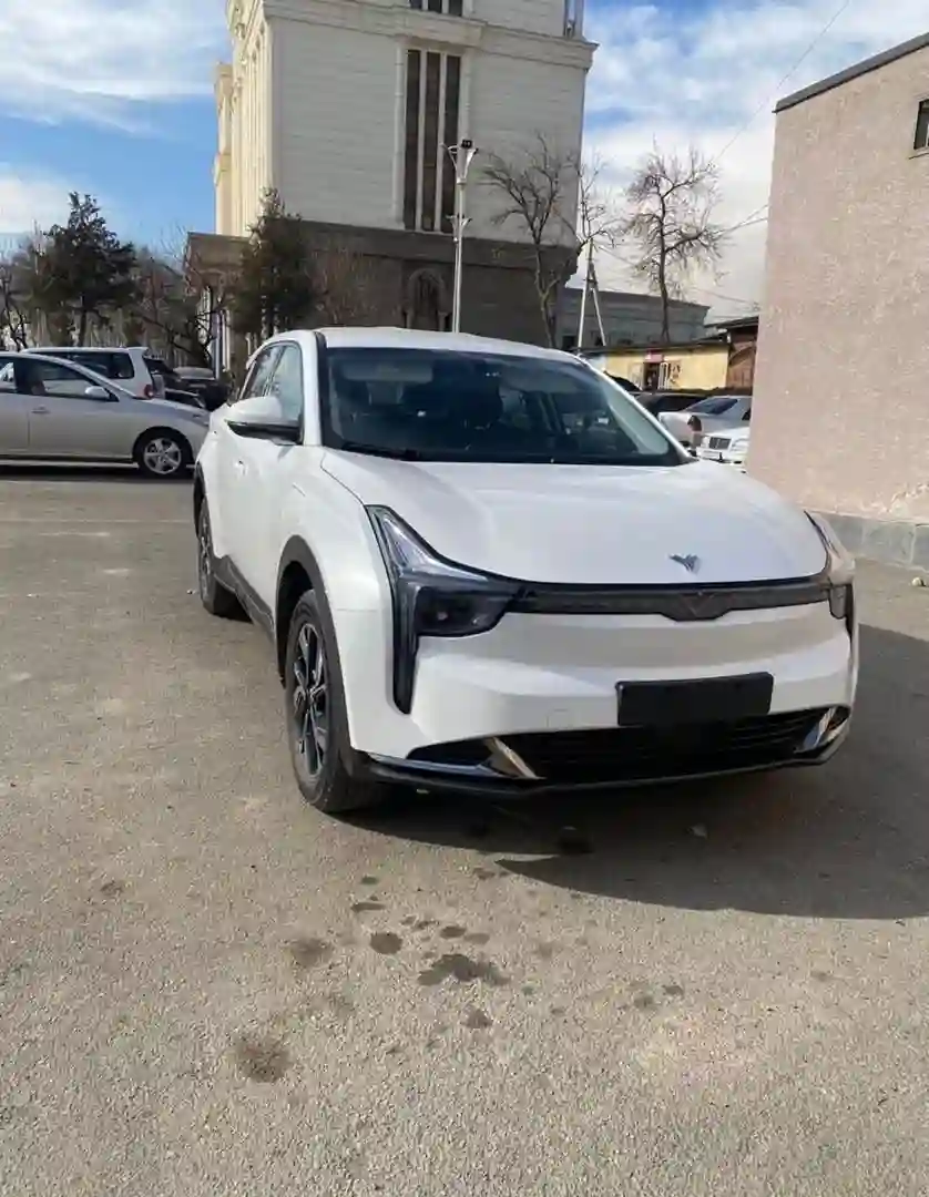 Neta N01 2023