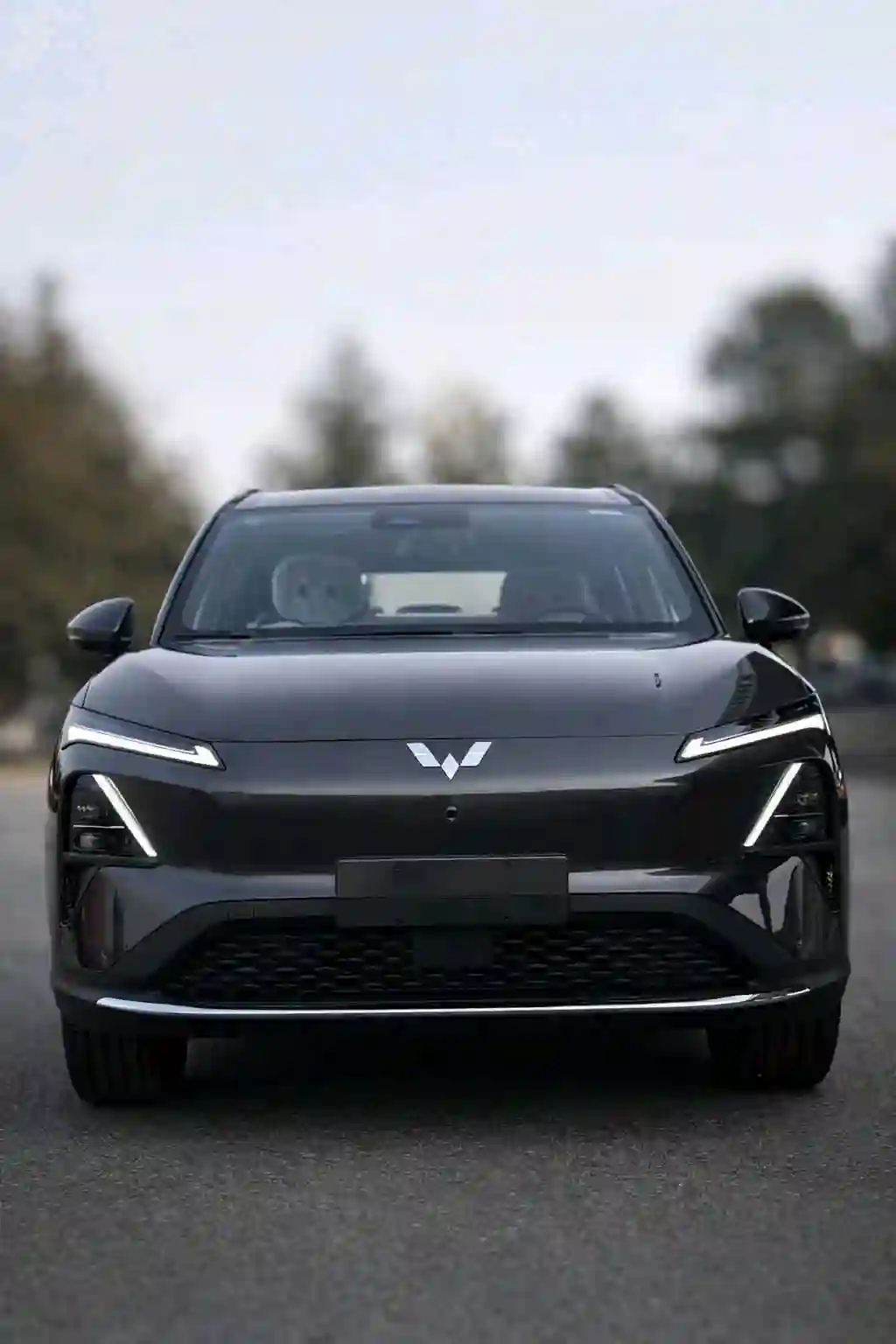 Wuling S