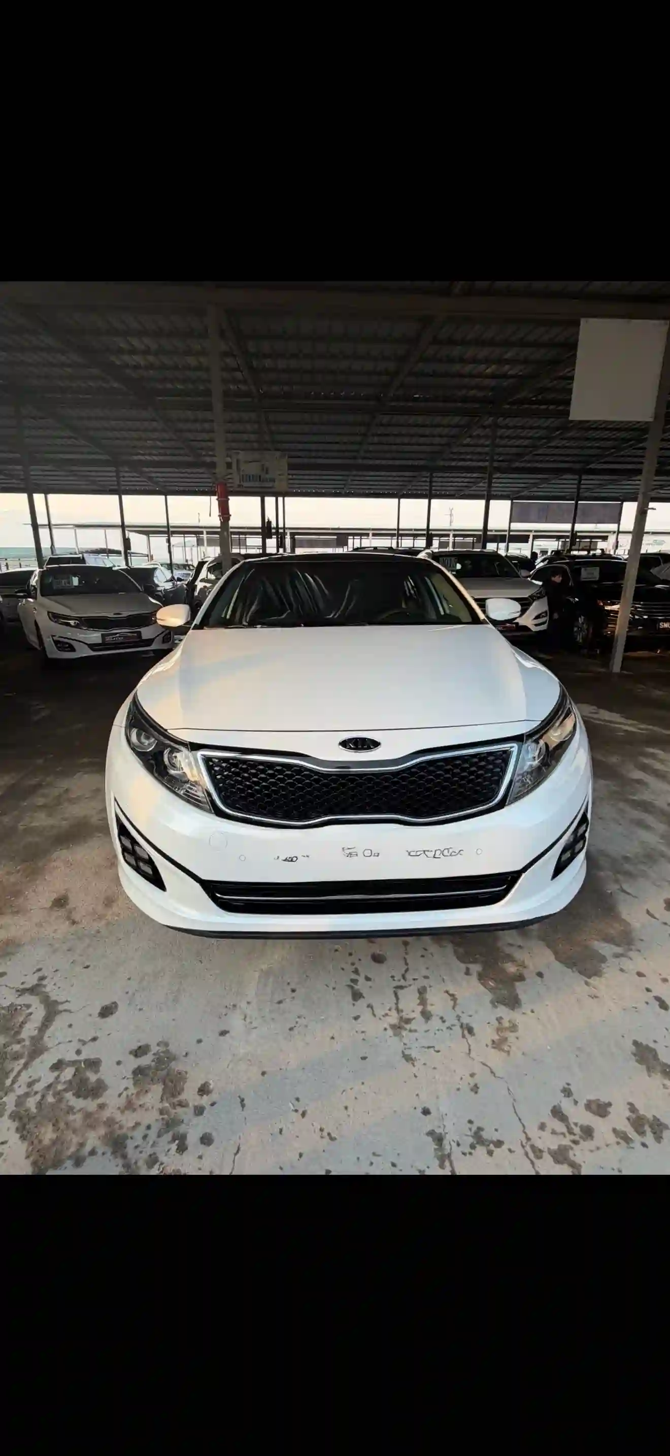 Kia K5 2015