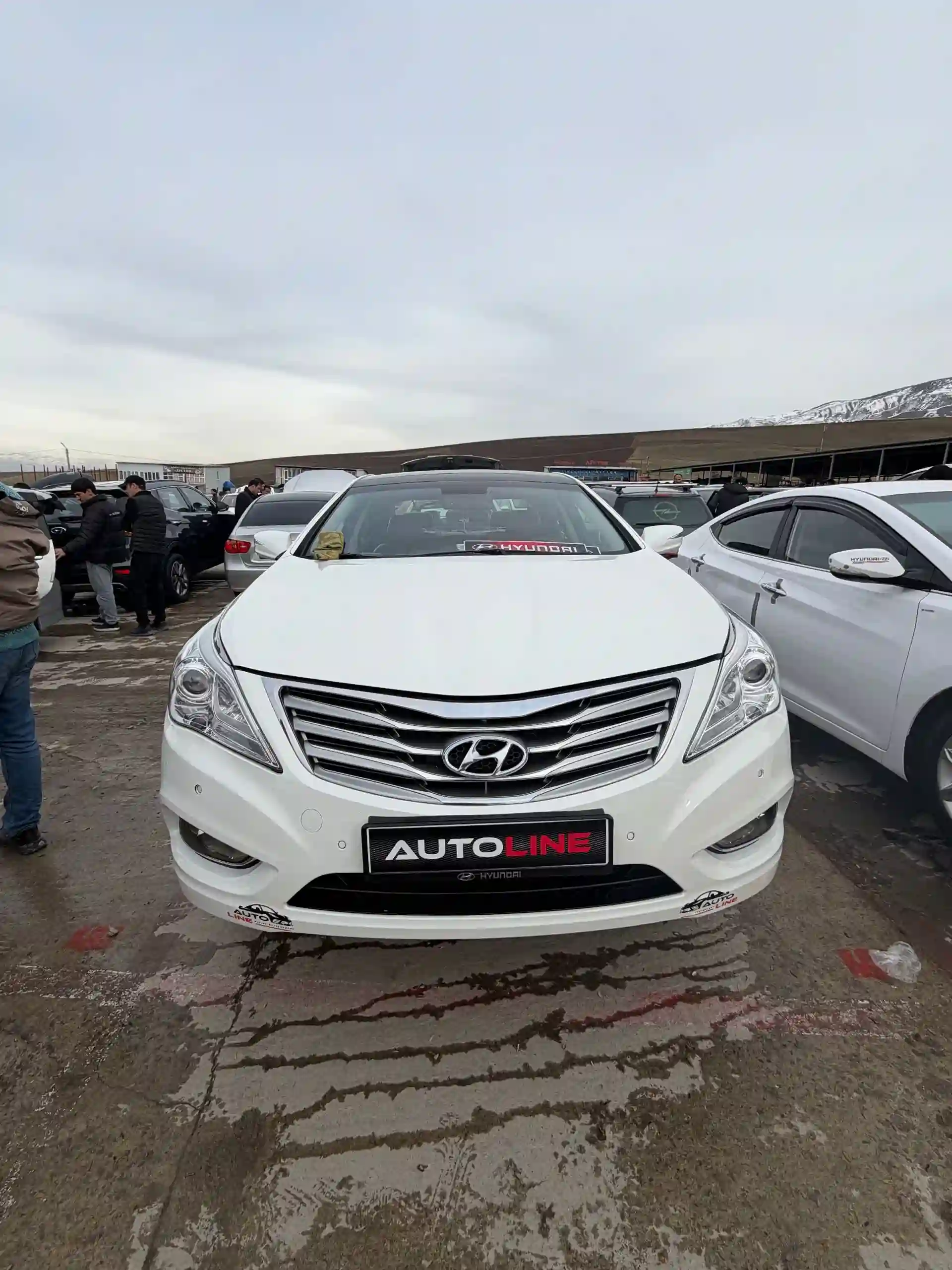 Hyundai Sonata 2013