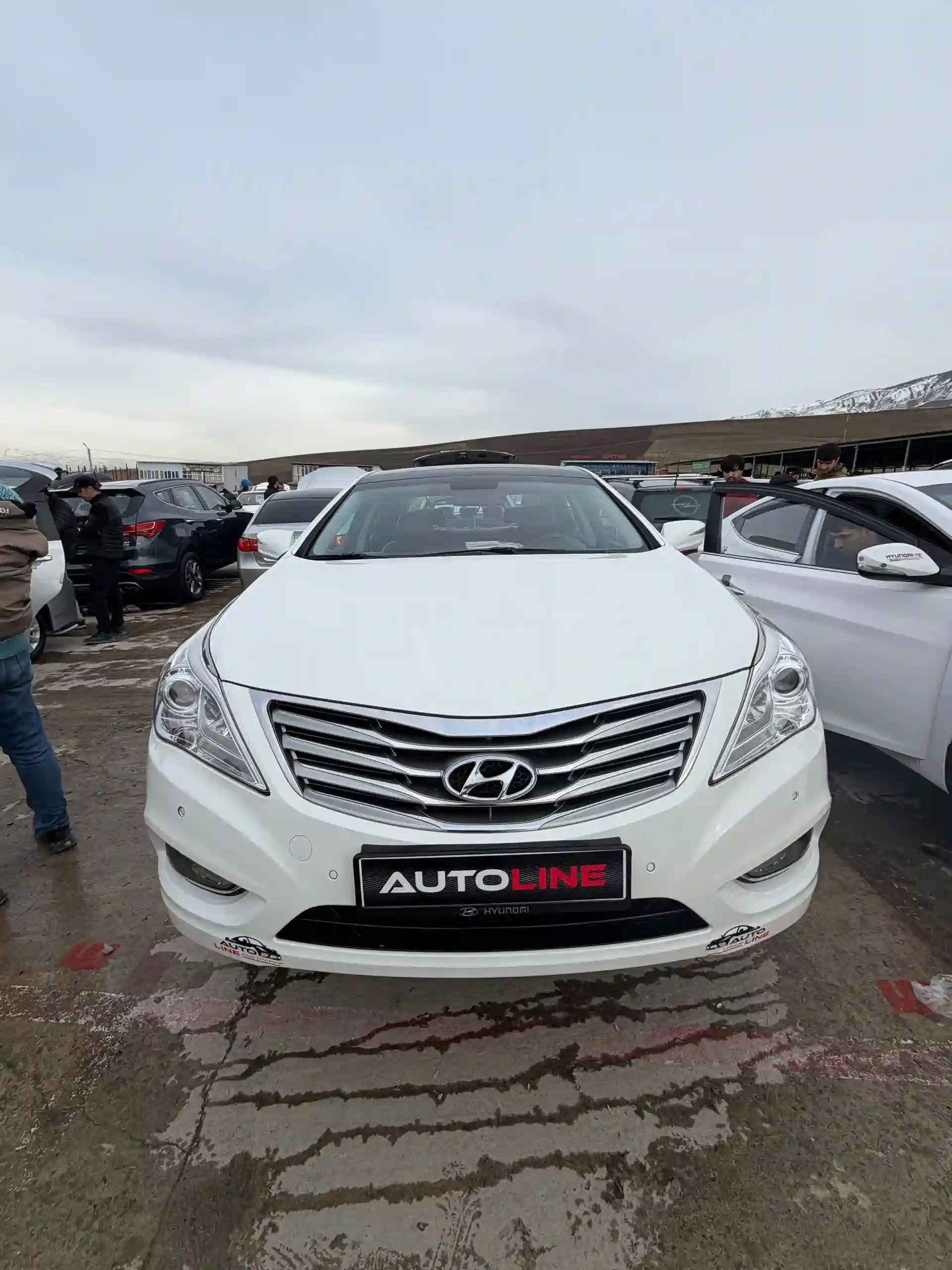 Hyundai Sonata 2013