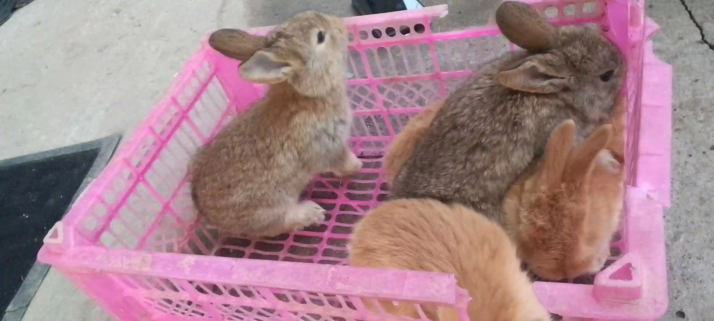 харгушча 9 км 