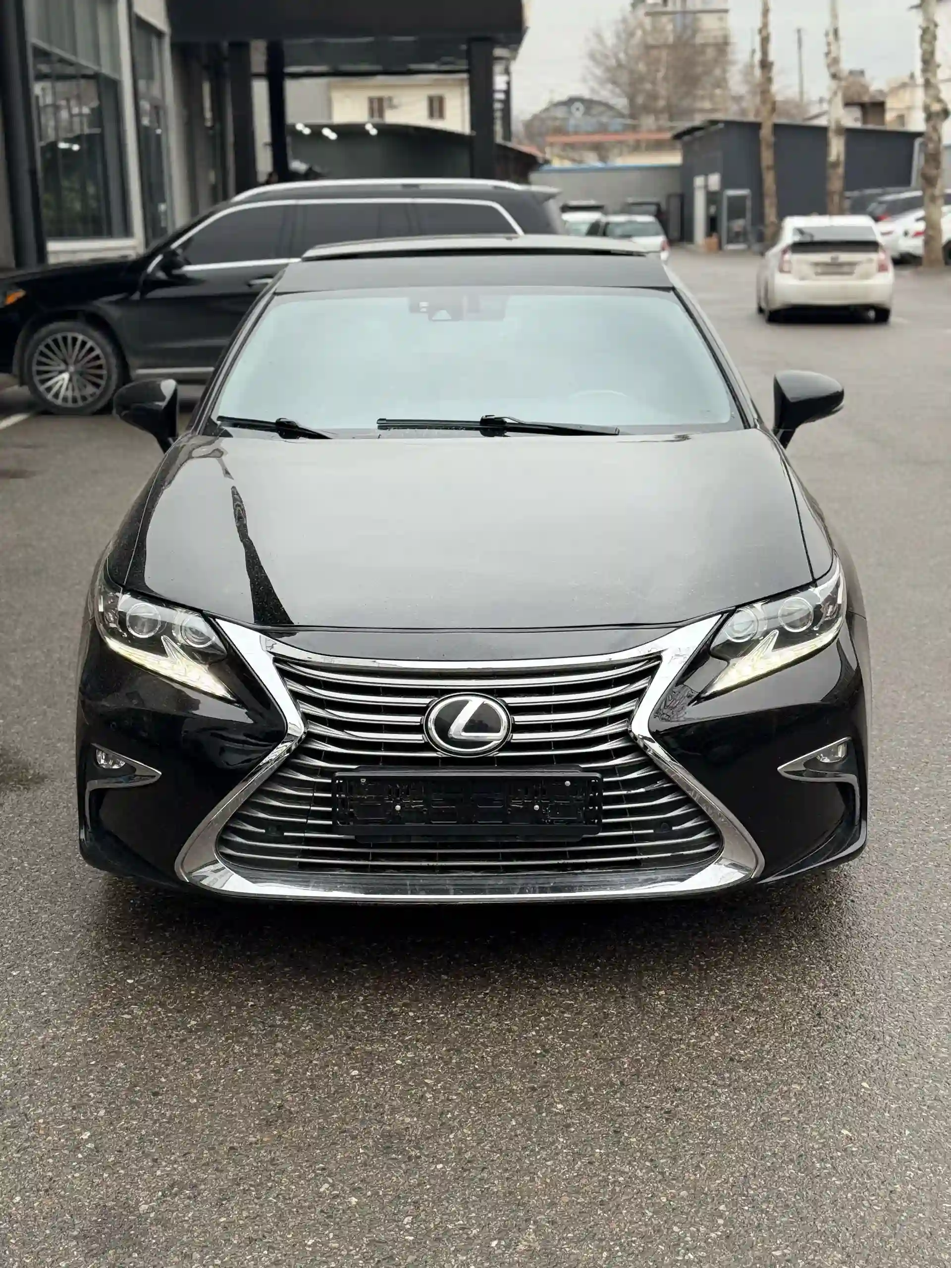 Lexus Es series 2013