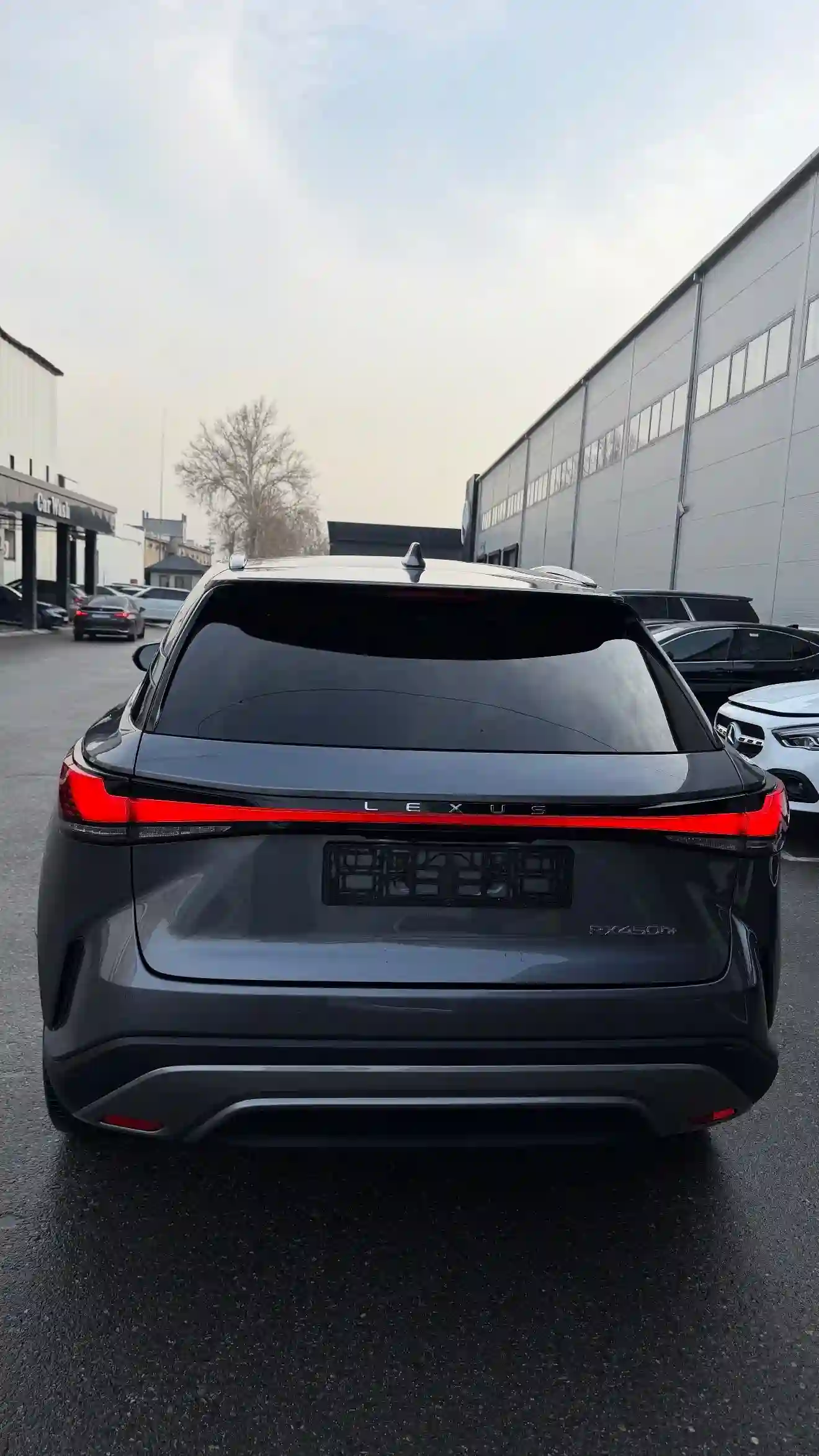 Lexus Rx series 2025
