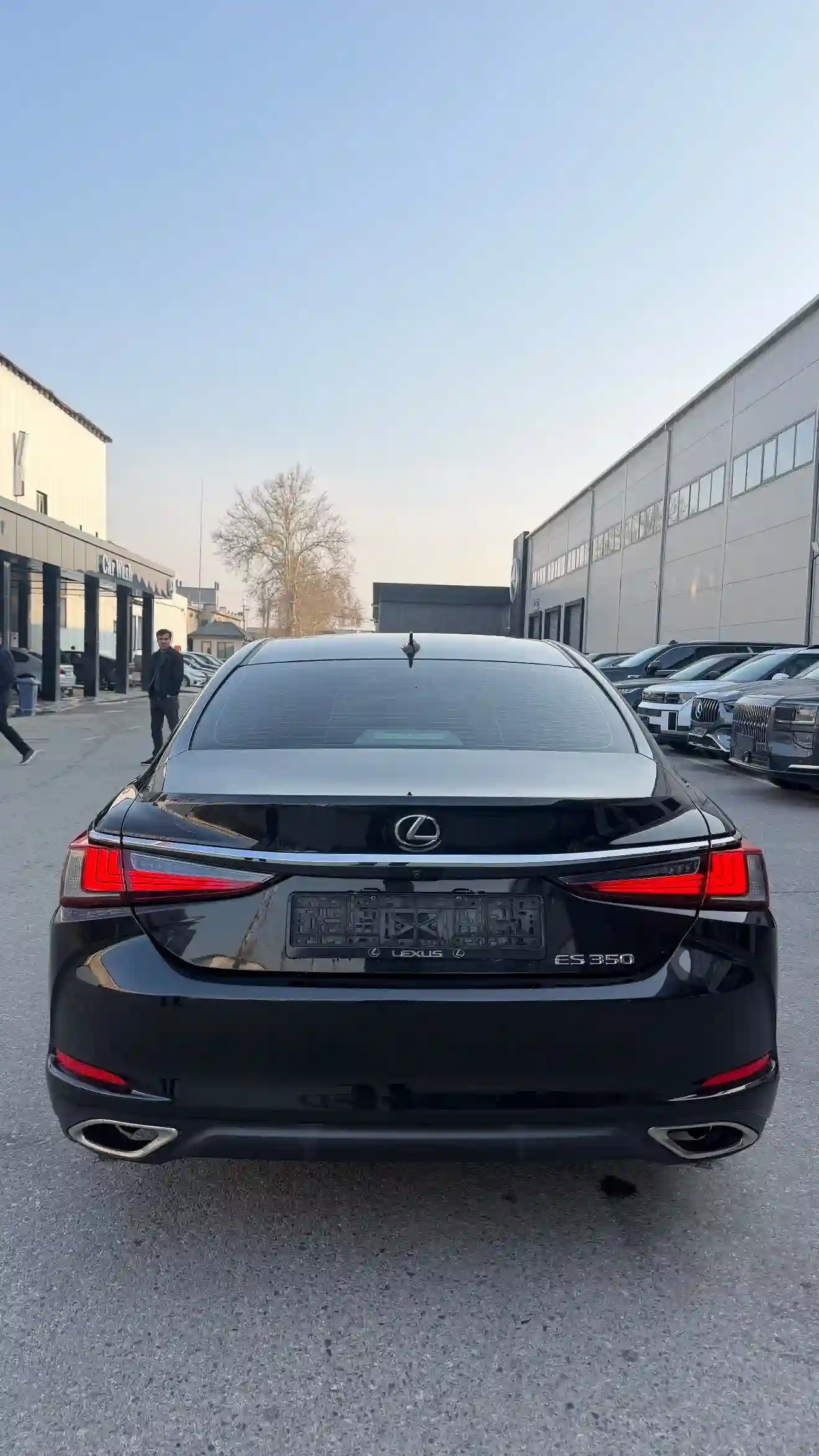 Lexus Es series 2019