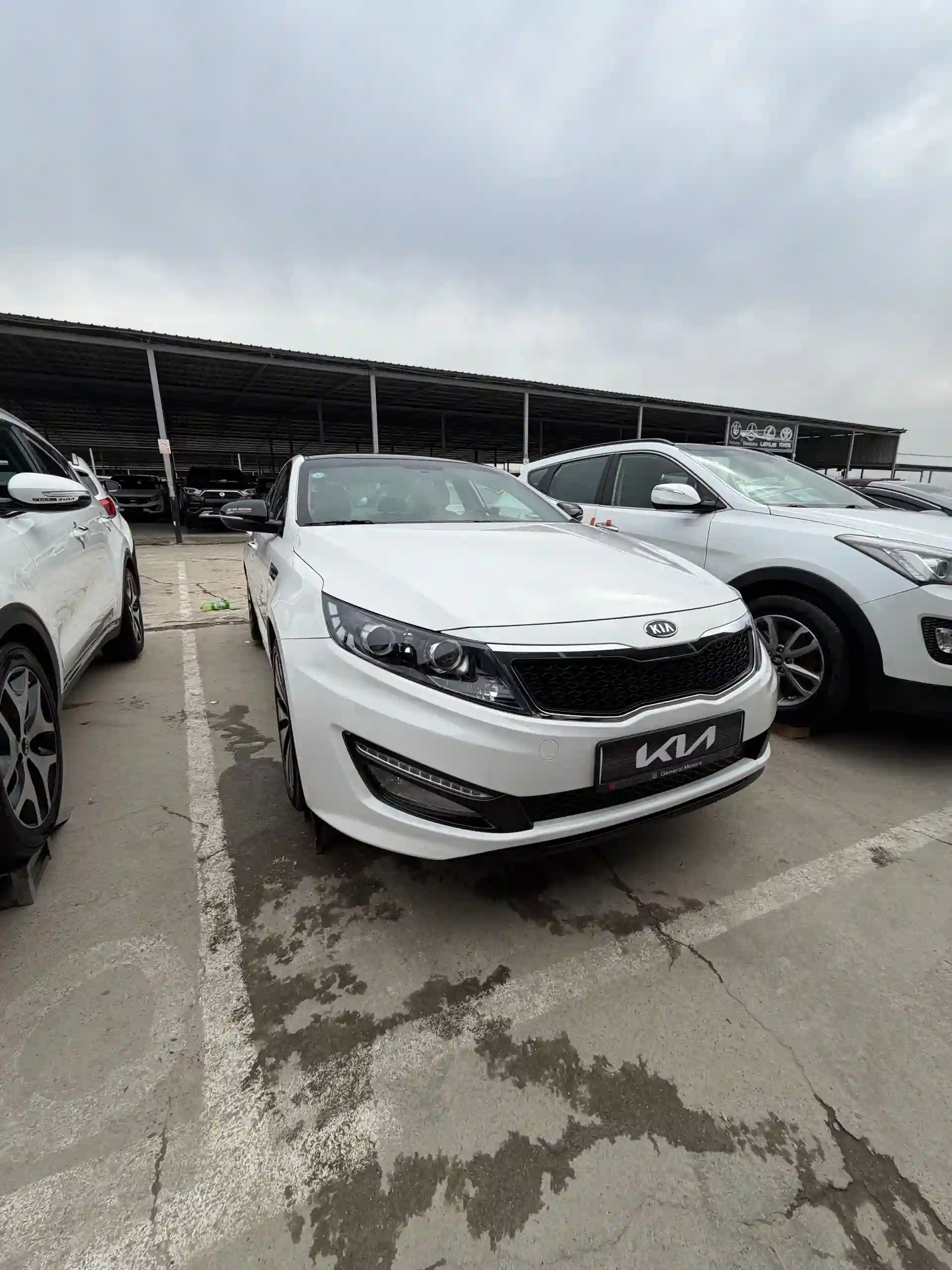 Kia K5 2012