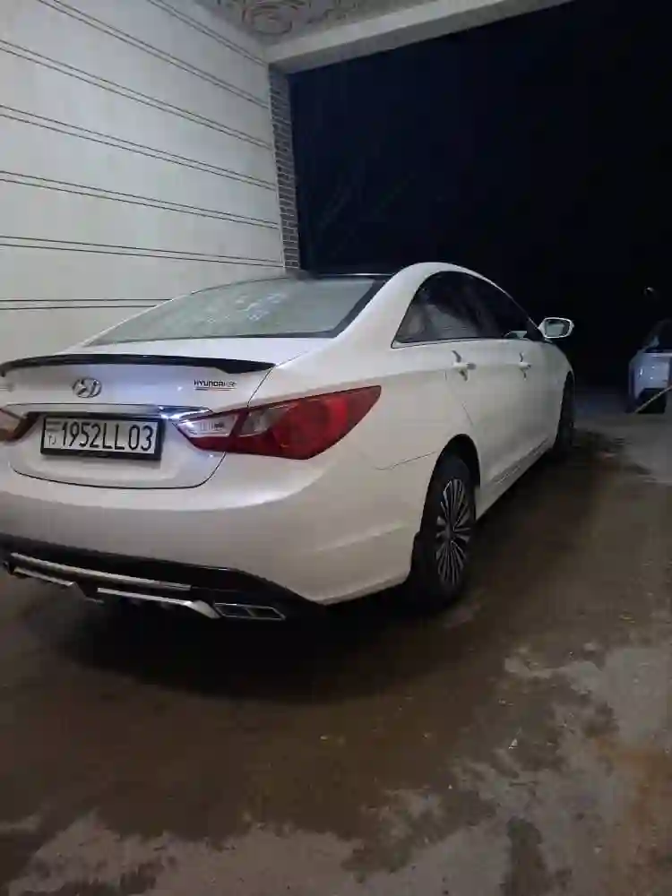 Hyundai Sonata 2010