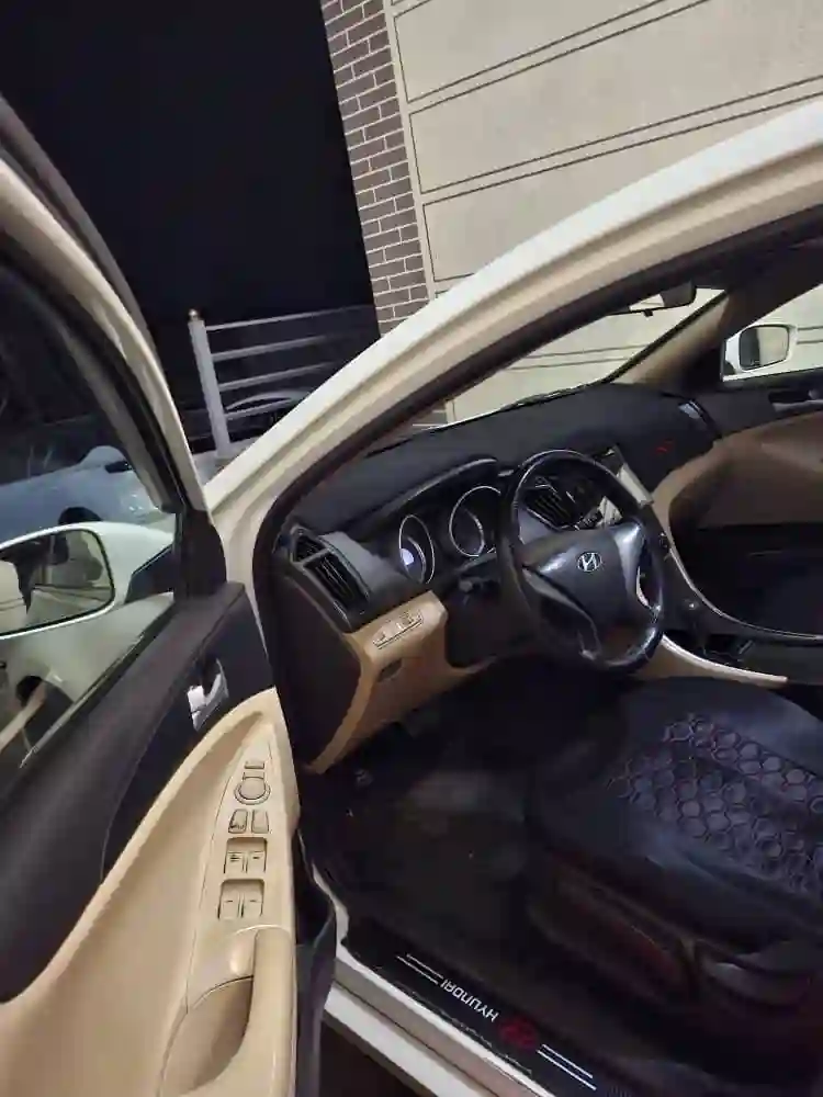 Hyundai Sonata 2010