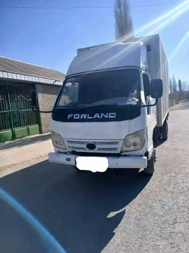 Forland foton 2010