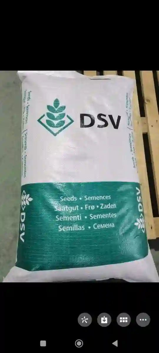 Газон