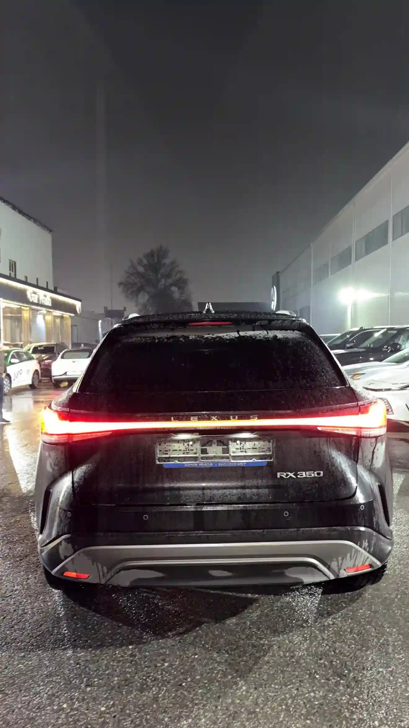 Lexus Rx series 2024