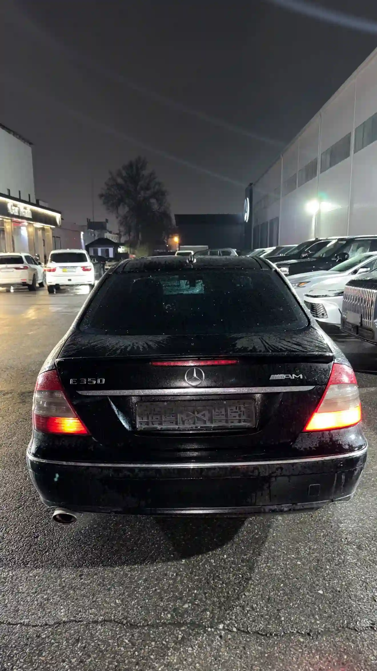 Mercedes-benz E class 2007