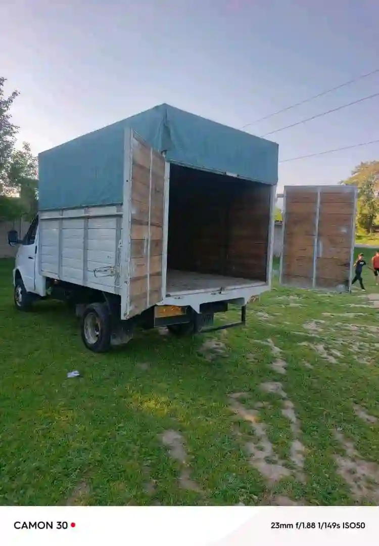 Газель