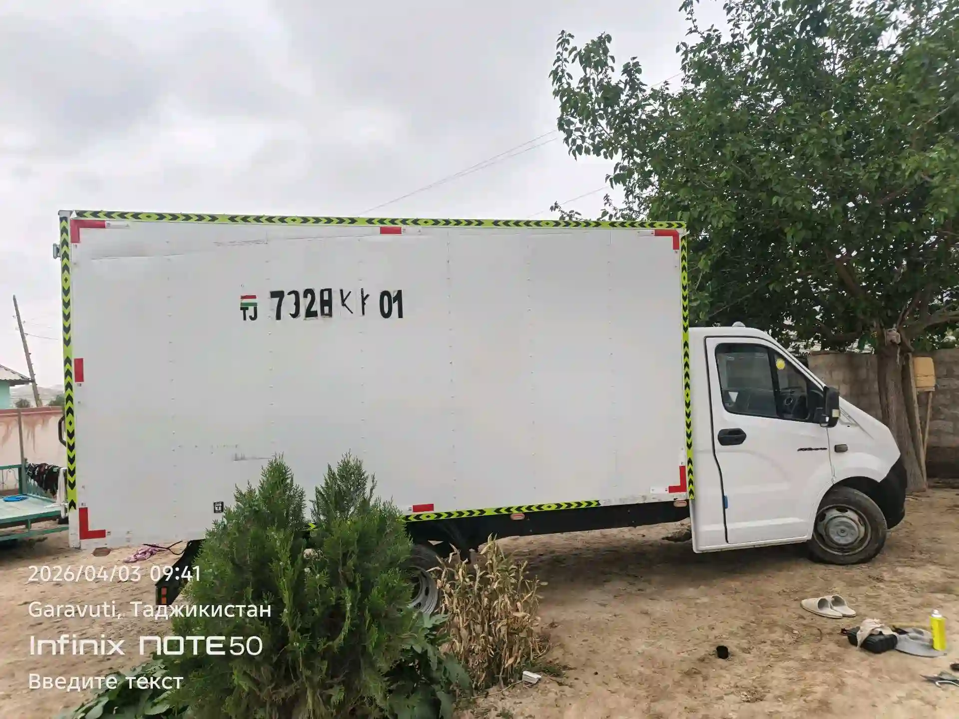 Газель