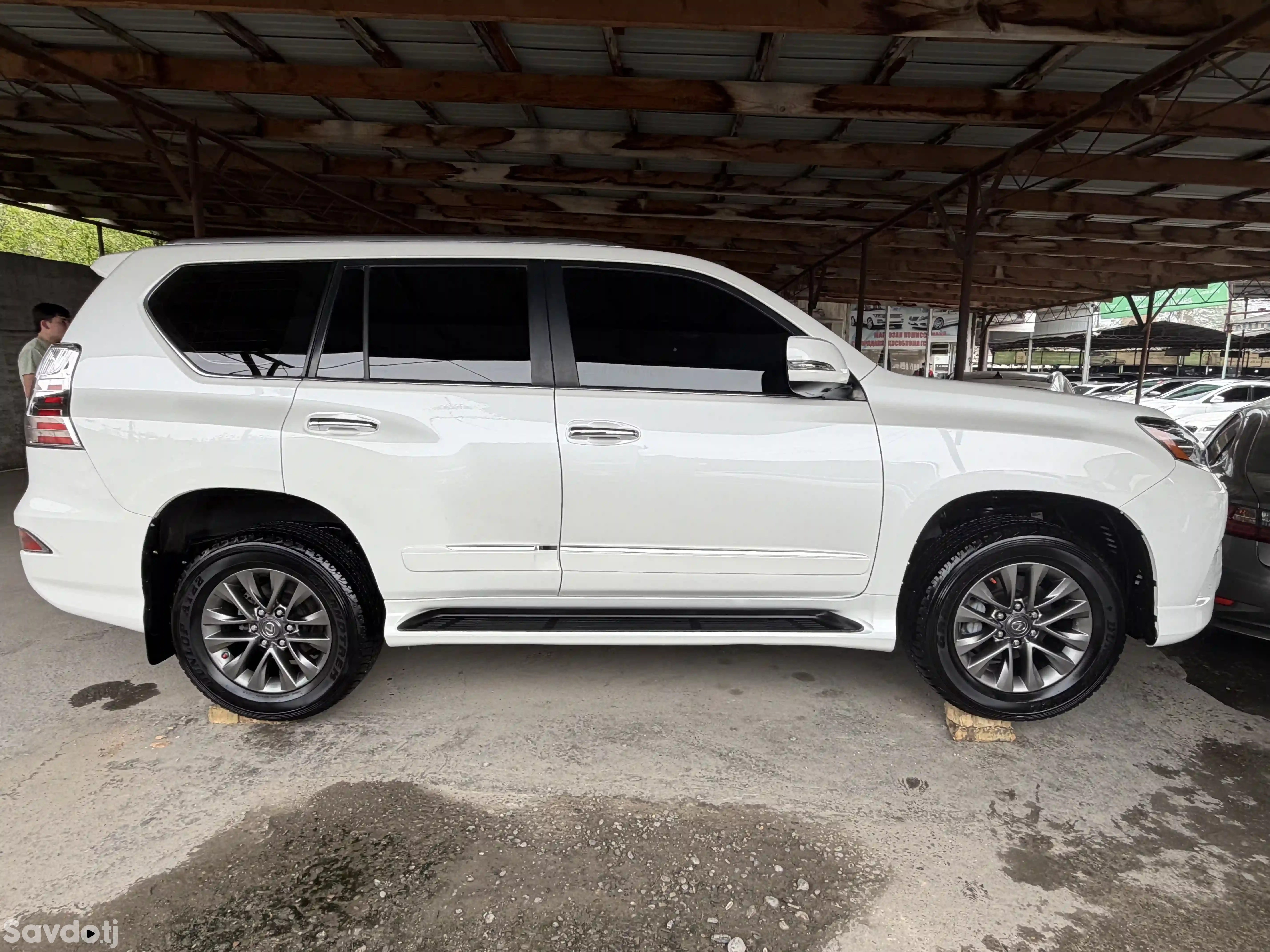 Lexus Gx series 2014
