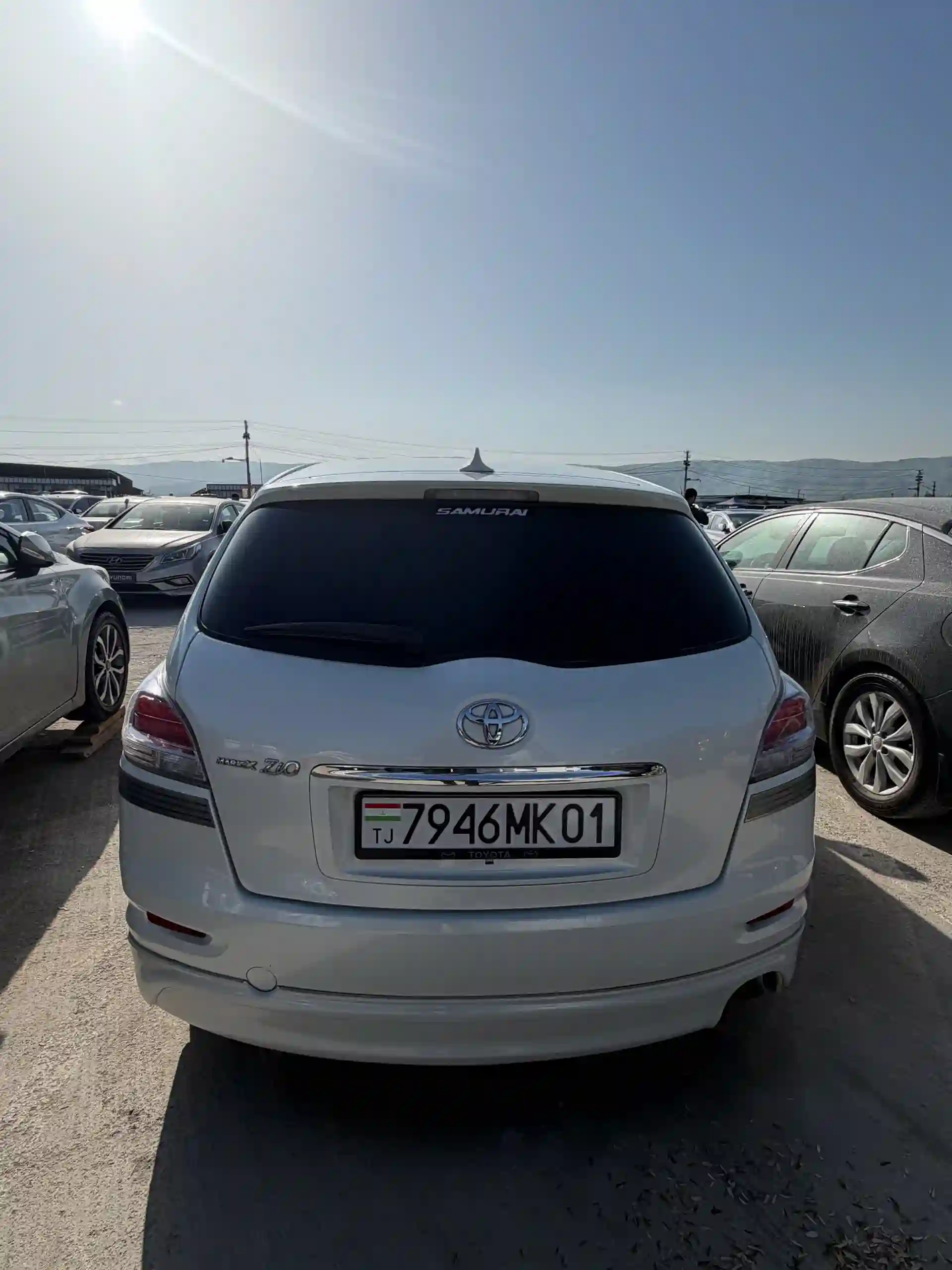 Toyota Mark X ZiO 2011