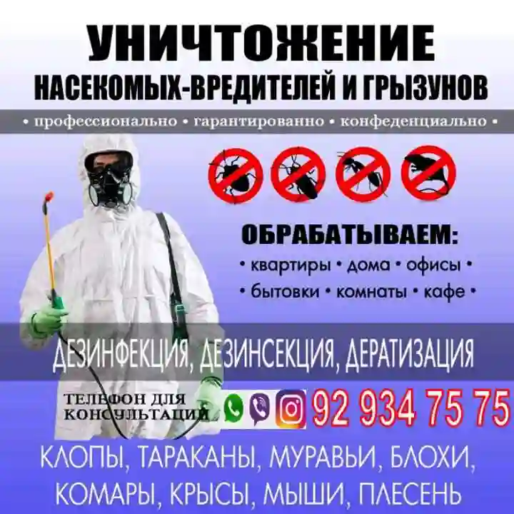 Дезинфекция квартиры