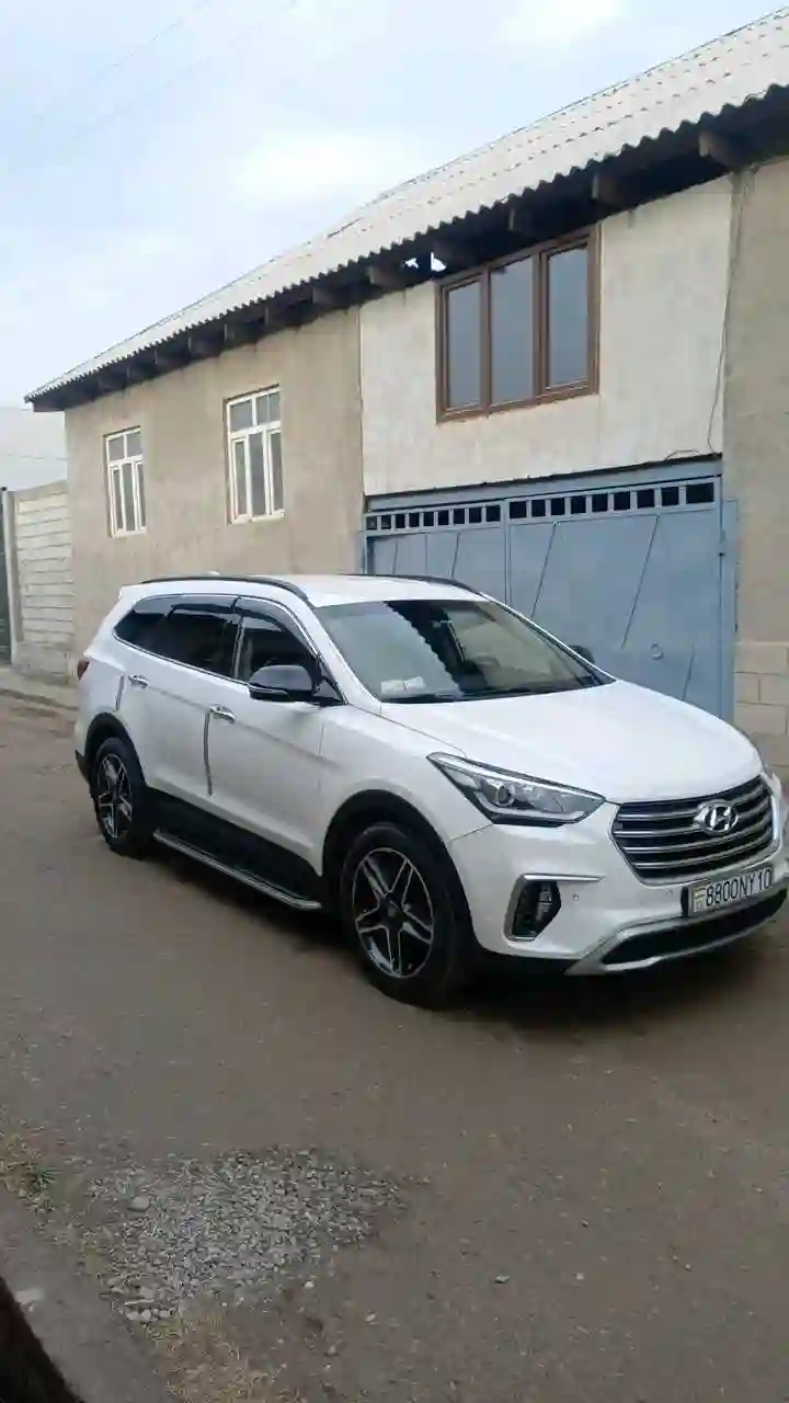 Hyundai Maxcruz 2016