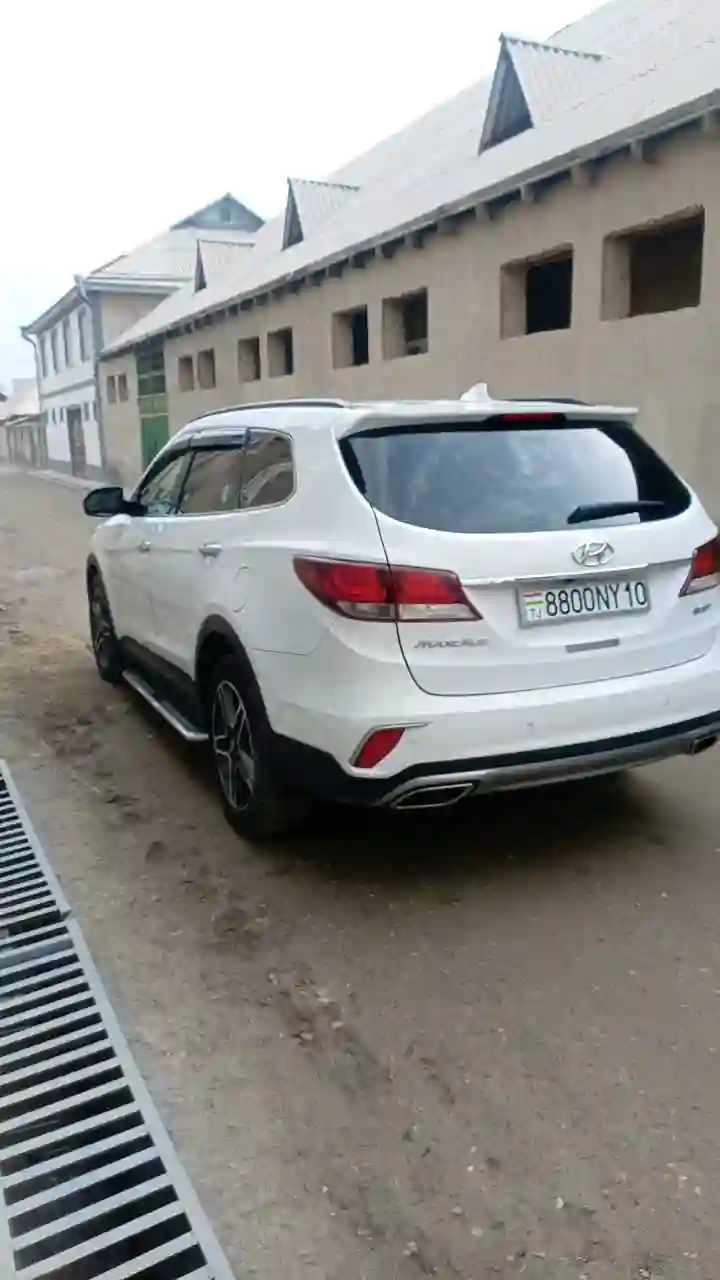 Hyundai Maxcruz 2016