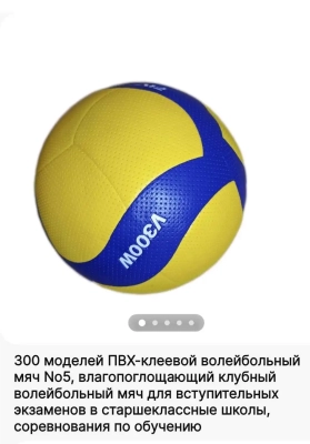 Мяч волейбольный