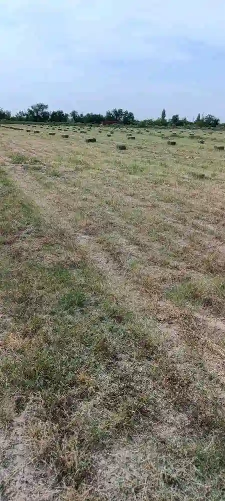 Преси беда