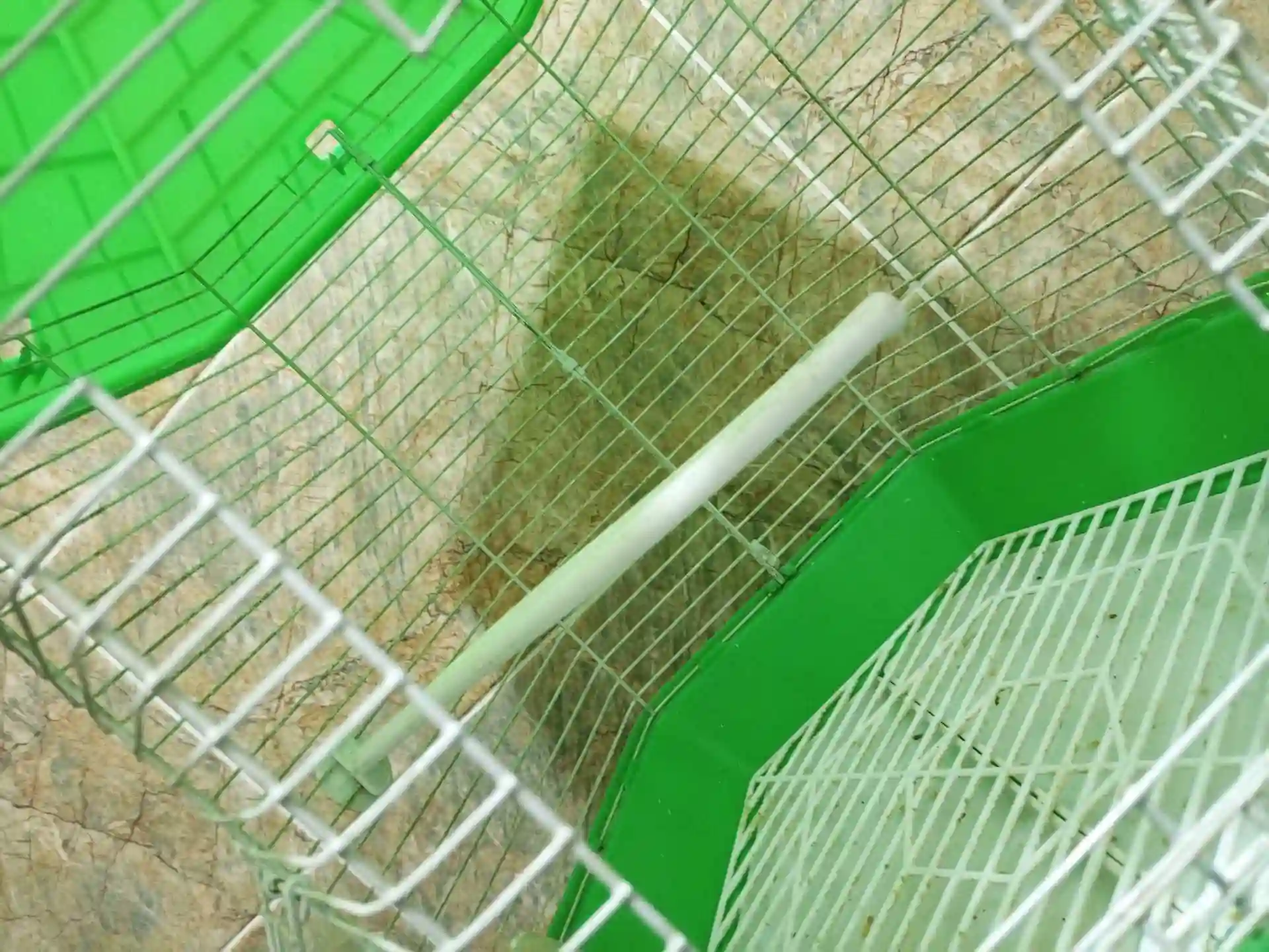 Қафас / клетки