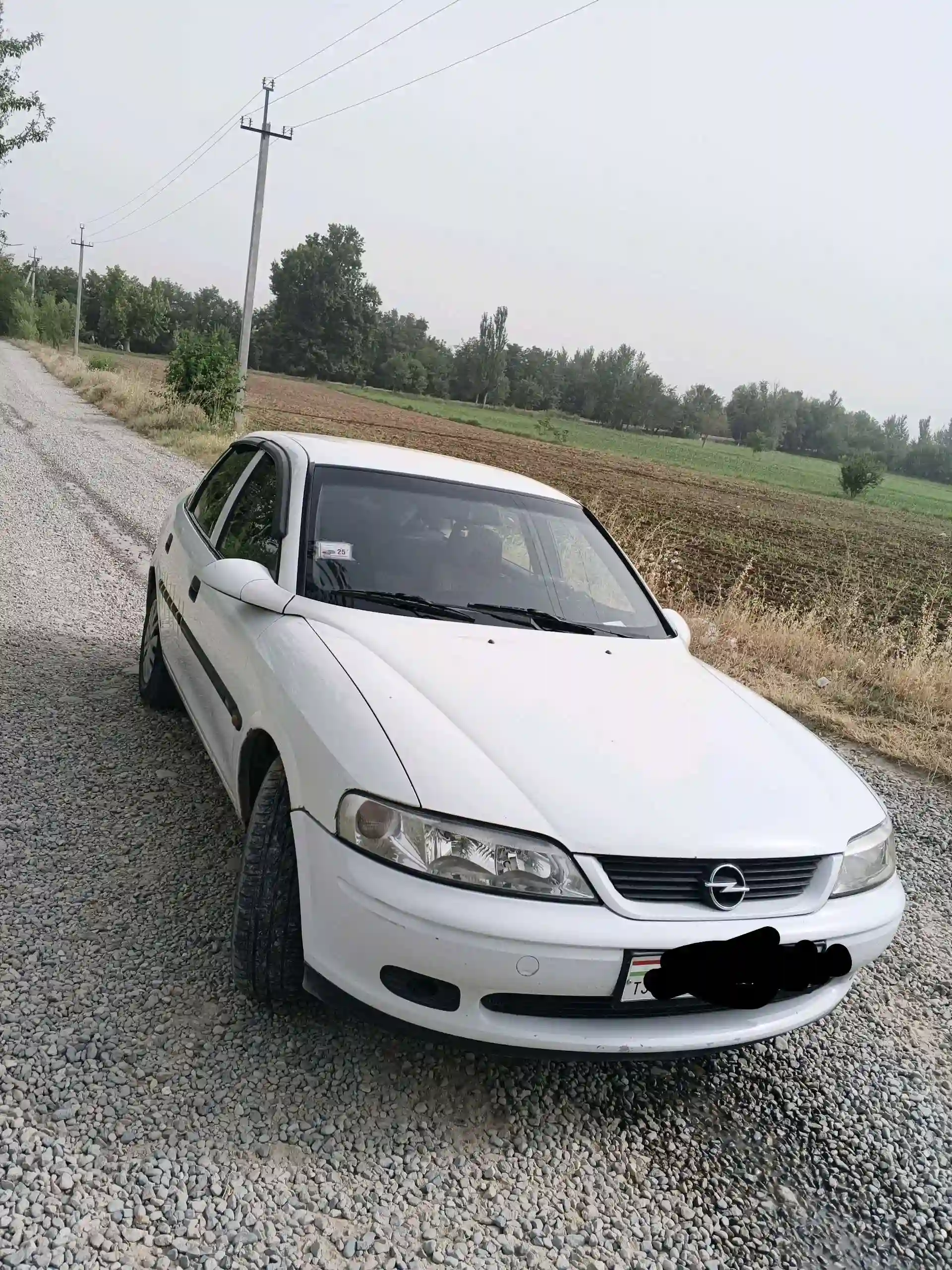Opel Vectra b 1996
