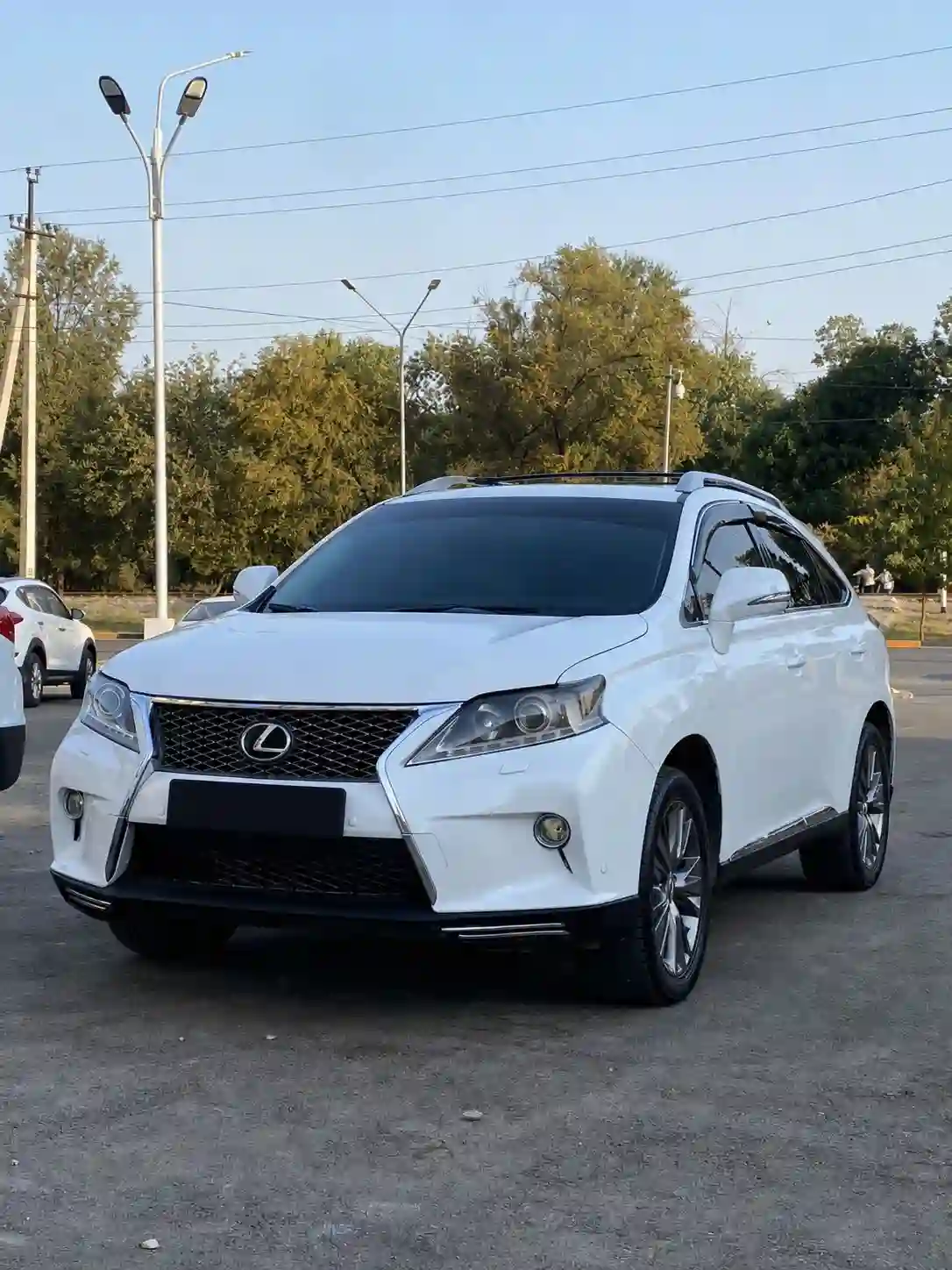 Lexus Rx series 2014