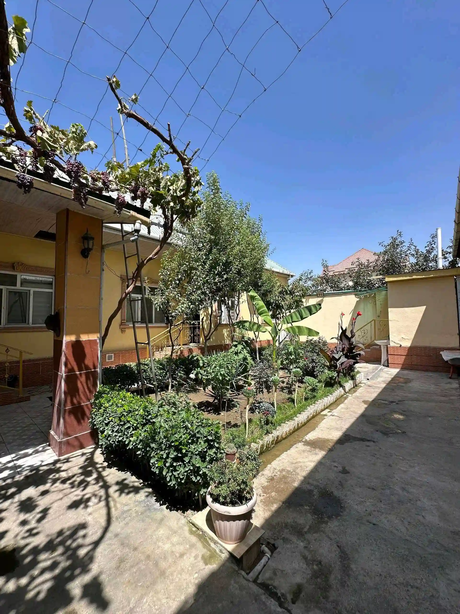 1 этажный, 3-комн. дом, 70 м², 3 соток, Фирдавси