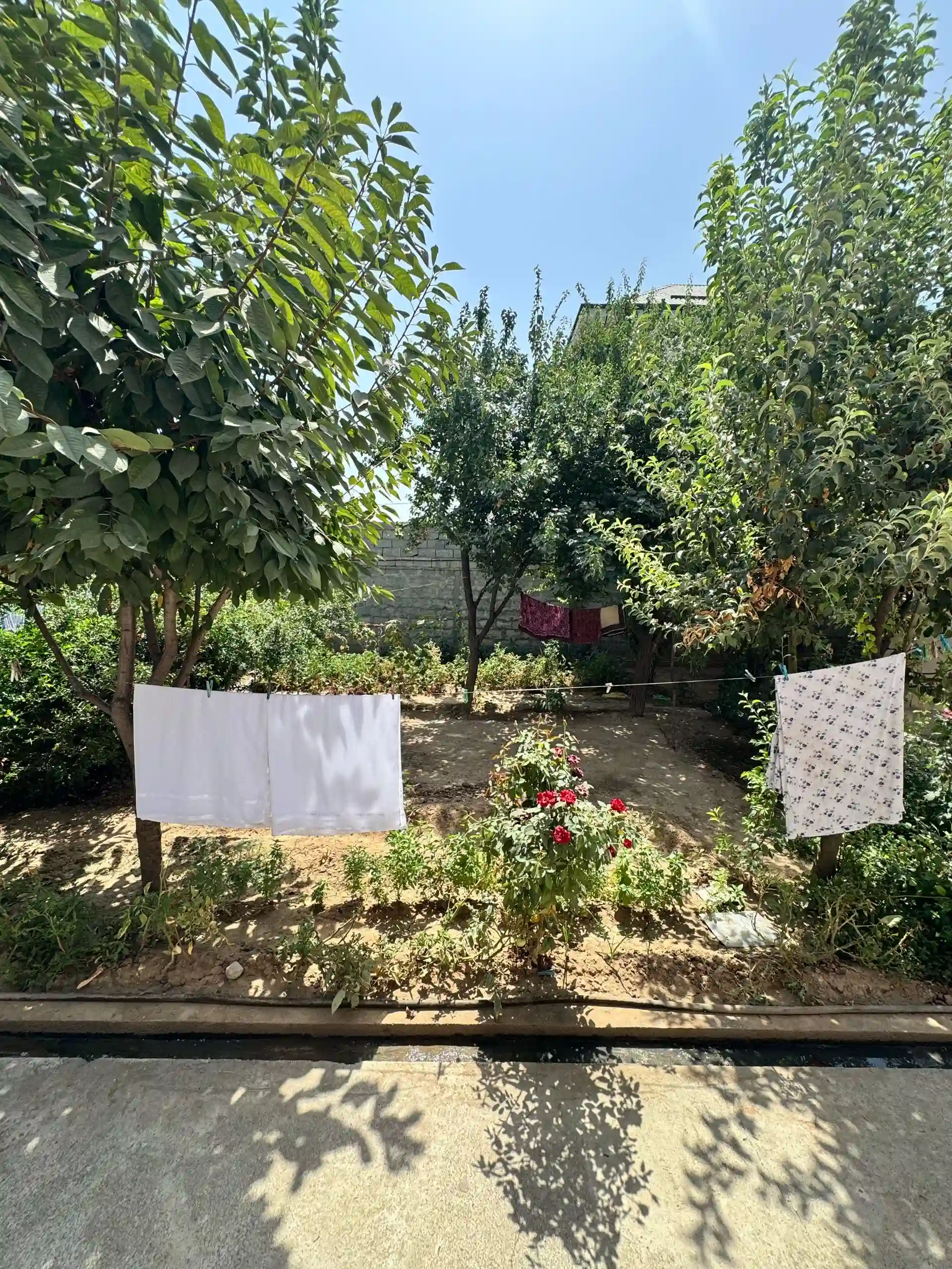 1 этажный, 4-комн. дом, 236 м², Синот