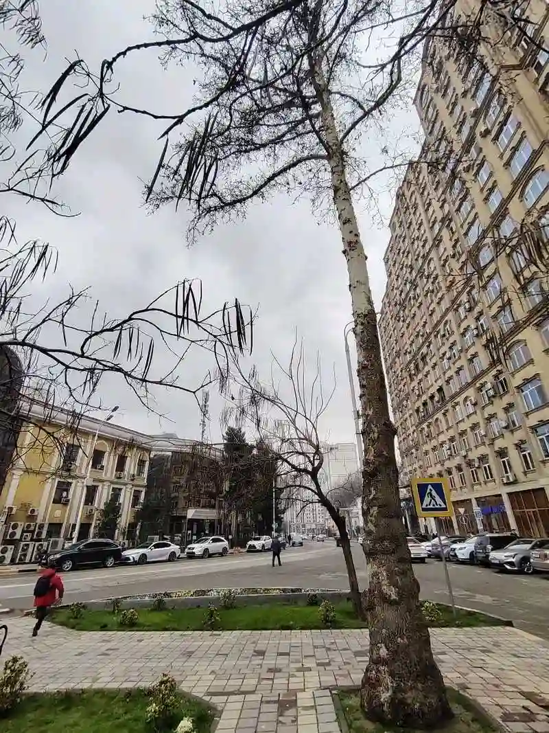 1-к квартира, 9 этаж, 75 м², Шоҳмансур, назди Пасолствои Турция