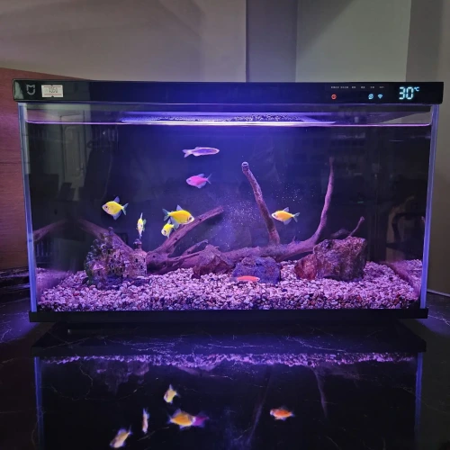 Умный аквариум Xiaomi Mijia Smart Fish Tank