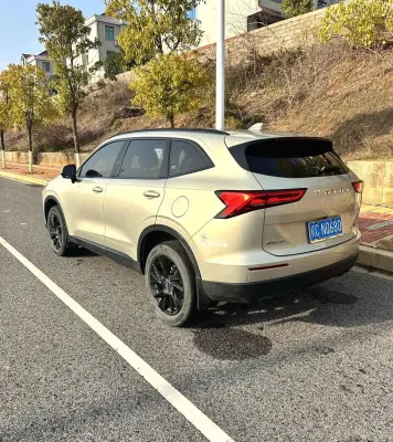 Haval H6, 2024