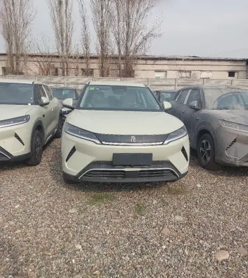 BYD Yuan Up, 2025