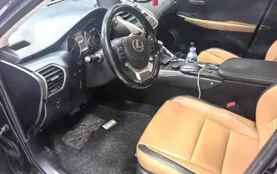 Lexus NX series, 2016